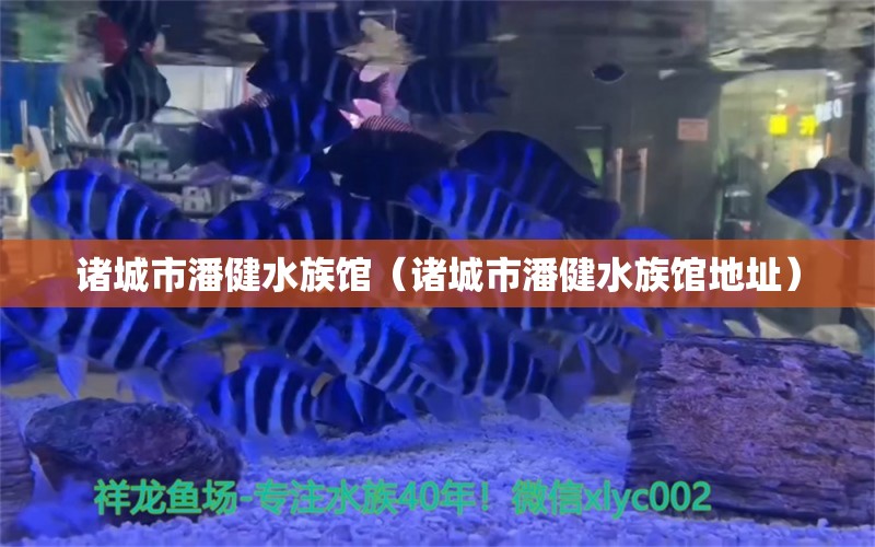 諸城市潘健水族館（諸城市潘健水族館地址） 全國水族館企業(yè)名錄