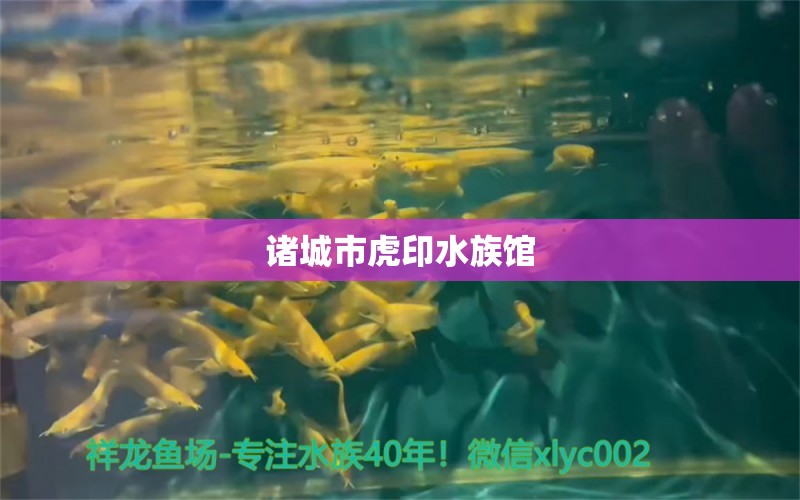 諸城市虎印水族館