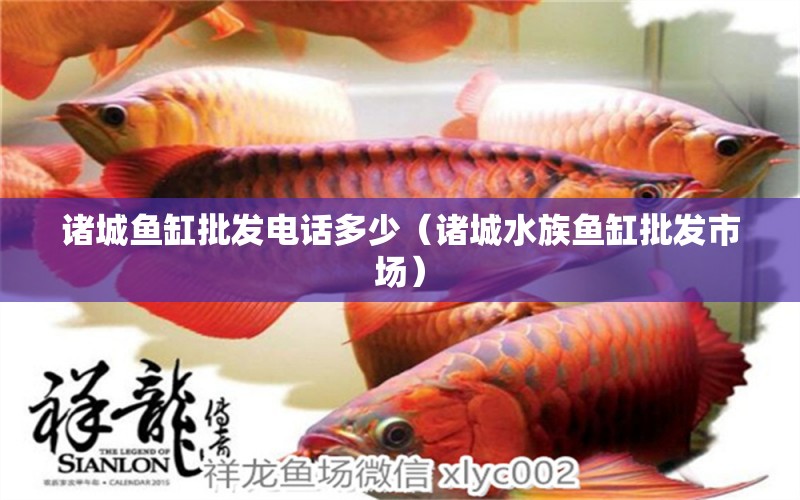 諸城魚(yú)缸批發(fā)電話(huà)多少（諸城水族魚(yú)缸批發(fā)市場(chǎng)） 大白鯊魚(yú)苗