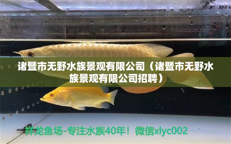 諸暨市無野水族景觀有限公司（諸暨市無野水族景觀有限公司招聘）