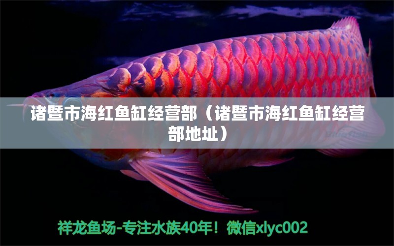 諸暨市海紅魚(yú)缸經(jīng)營(yíng)部（諸暨市海紅魚(yú)缸經(jīng)營(yíng)部地址）