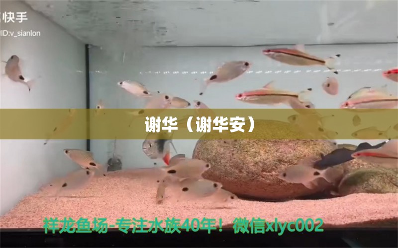 謝華（謝華安） 全國水族館企業(yè)名錄