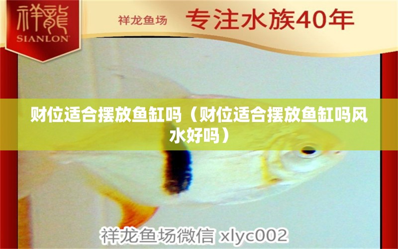 財位適合擺放魚缸嗎（財位適合擺放魚缸嗎風水好嗎）