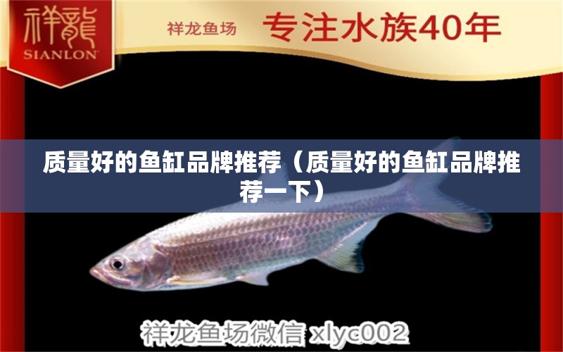 質(zhì)量好的魚缸品牌推薦（質(zhì)量好的魚缸品牌推薦一下） 其他品牌魚缸