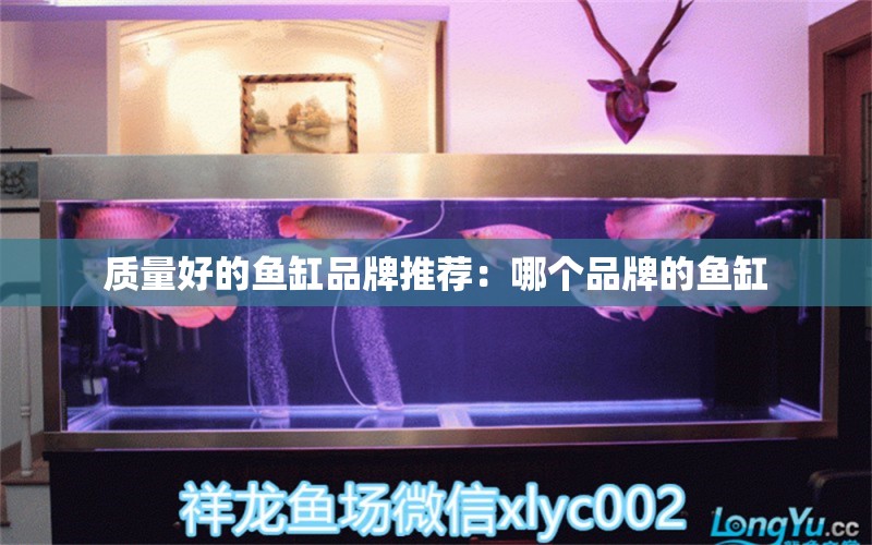 質(zhì)量好的魚缸品牌推薦：哪個品牌的魚缸