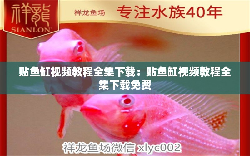 貼魚缸視頻教程全集下載：貼魚缸視頻教程全集下載免費(fèi)