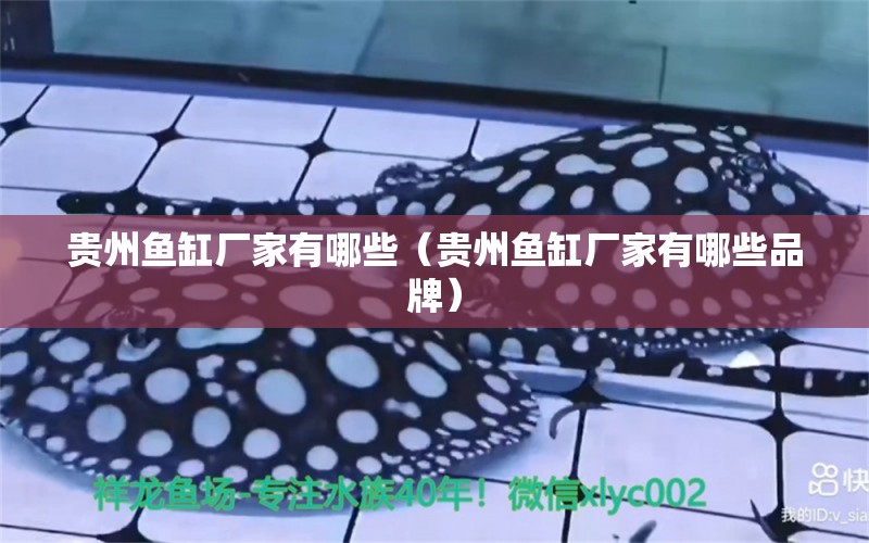 貴州魚缸廠家有哪些（貴州魚缸廠家有哪些品牌） 其他品牌魚缸