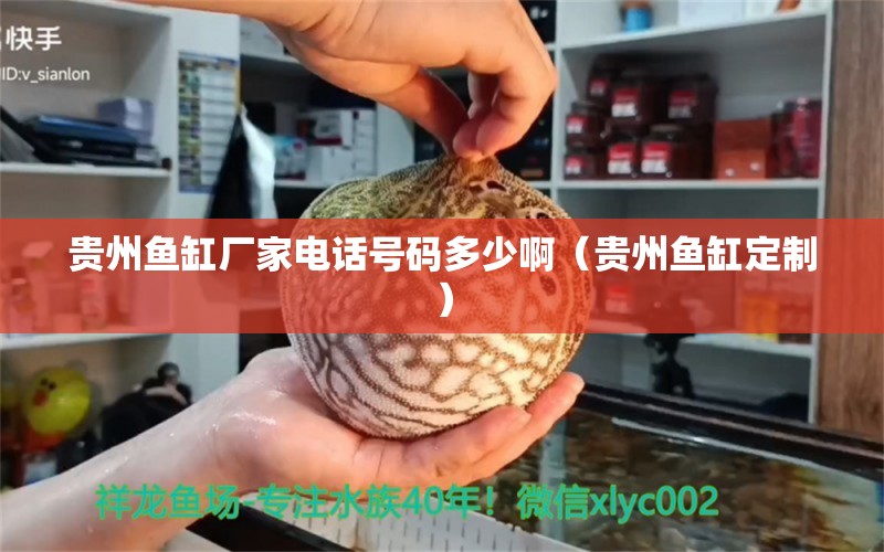 貴州魚缸廠家電話號碼多少?。ㄙF州魚缸定制）