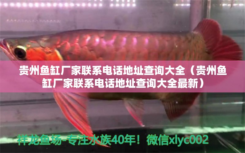 貴州魚缸廠家聯(lián)系電話地址查詢大全（貴州魚缸廠家聯(lián)系電話地址查詢大全最新） 觀賞魚市場（混養(yǎng)魚）