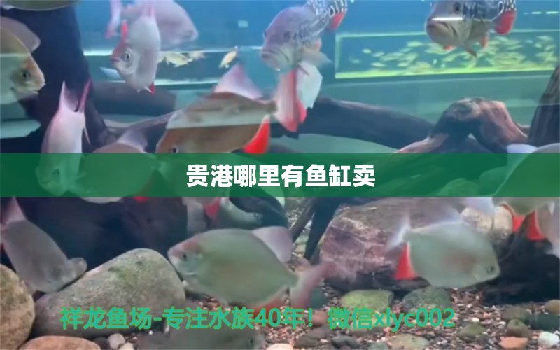 貴港哪里有魚缸賣 其他品牌魚缸