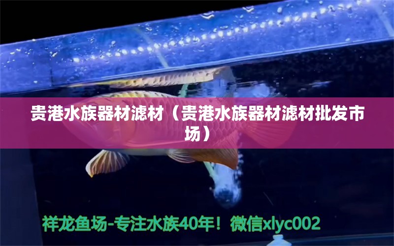 貴港水族器材濾材（貴港水族器材濾材批發(fā)市場） 廣州水族器材濾材批發(fā)市場