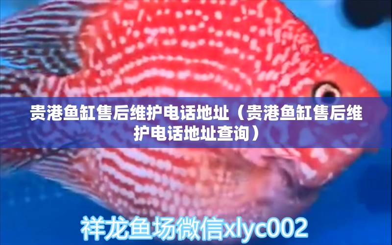 貴港魚缸售后維護電話地址（貴港魚缸售后維護電話地址查詢）