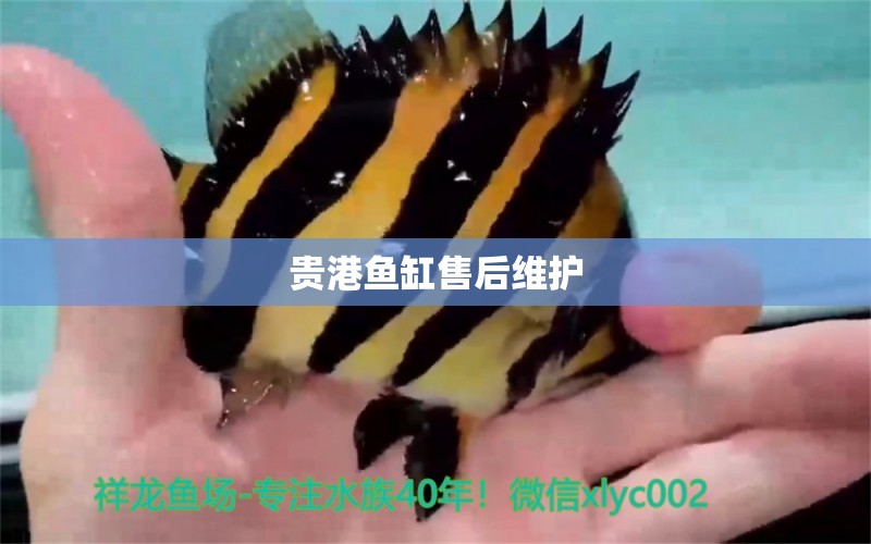 貴港魚缸售后維護 彩鰈魚缸（彩蝶魚缸）