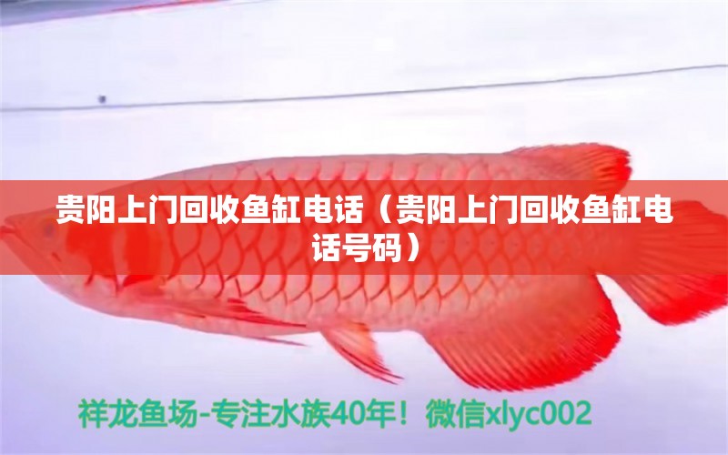 貴陽(yáng)上門(mén)回收魚(yú)缸電話（貴陽(yáng)上門(mén)回收魚(yú)缸電話號(hào)碼）