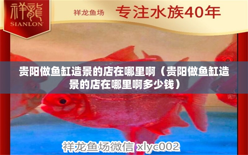 貴陽做魚缸造景的店在哪里?。ㄙF陽做魚缸造景的店在哪里啊多少錢）