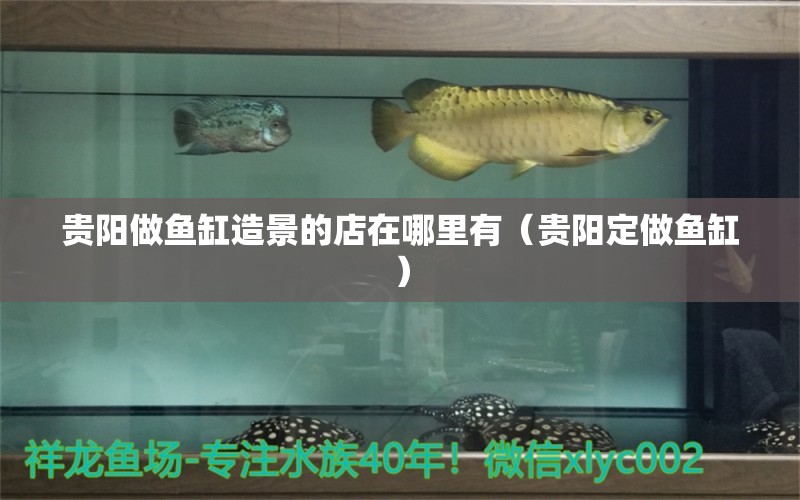 貴陽(yáng)做魚(yú)缸造景的店在哪里有（貴陽(yáng)定做魚(yú)缸） 烏龜