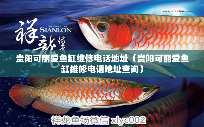 貴陽(yáng)可麗愛(ài)魚缸維修電話地址（貴陽(yáng)可麗愛(ài)魚缸維修電話地址查詢） 野生埃及神仙魚