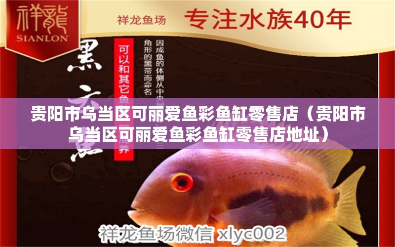 貴陽市烏當(dāng)區(qū)可麗愛魚彩魚缸零售店（貴陽市烏當(dāng)區(qū)可麗愛魚彩魚缸零售店地址）