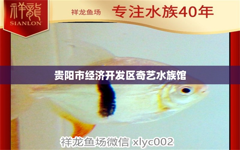 貴陽(yáng)市經(jīng)濟(jì)開(kāi)發(fā)區(qū)奇藝水族館