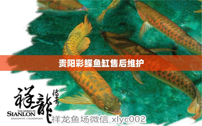 貴陽(yáng)彩鰈魚(yú)缸售后維護(hù)