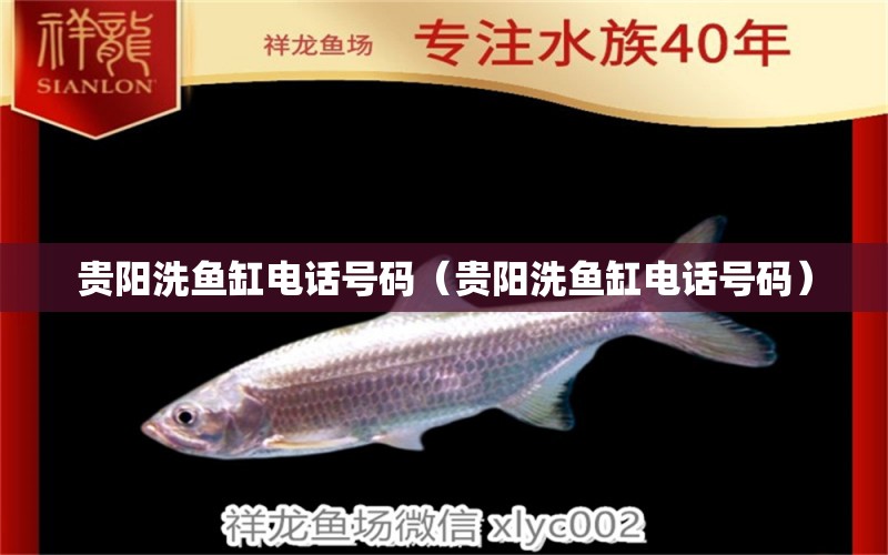 貴陽(yáng)洗魚(yú)缸電話號(hào)碼（貴陽(yáng)洗魚(yú)缸電話號(hào)碼） 赤元素