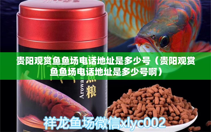 貴陽觀賞魚魚場電話地址是多少號（貴陽觀賞魚魚場電話地址是多少號?。? title=