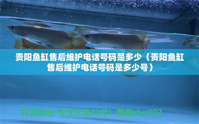 貴陽魚缸售后維護電話號碼是多少（貴陽魚缸售后維護電話號碼是多少號） 其他品牌魚缸