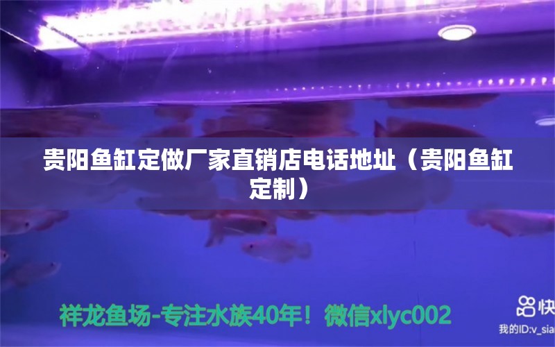 貴陽(yáng)魚缸定做廠家直銷店電話地址（貴陽(yáng)魚缸定制）