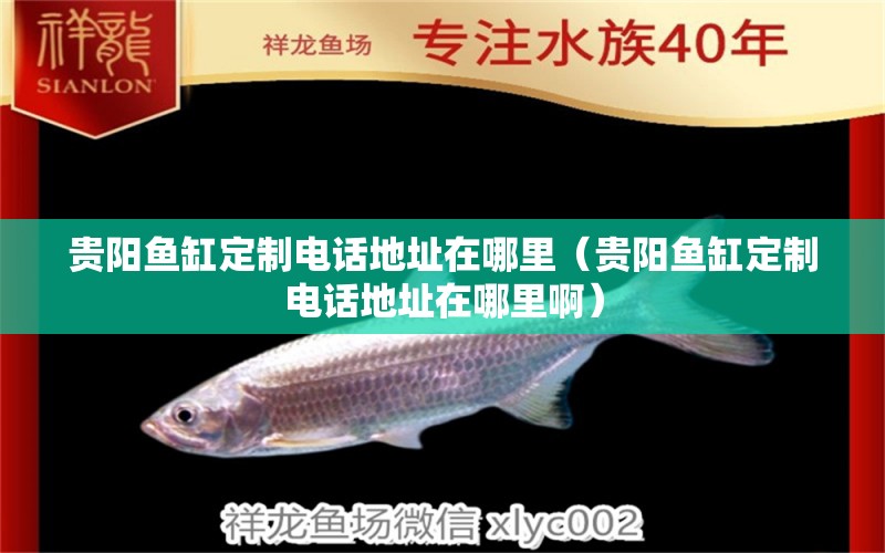 貴陽魚缸定制電話地址在哪里（貴陽魚缸定制電話地址在哪里?。? title=