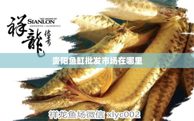 貴陽魚缸批發(fā)市場在哪里 其他品牌魚缸