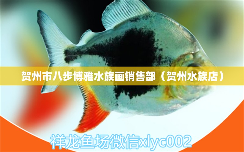 賀州市八步博雅水族畫銷售部（賀州水族店）