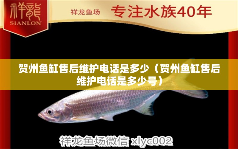 賀州魚缸售后維護(hù)電話是多少（賀州魚缸售后維護(hù)電話是多少號(hào)） 其他品牌魚缸