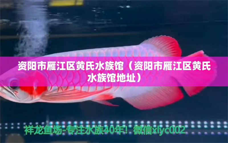 資陽市雁江區(qū)黃氏水族館（資陽市雁江區(qū)黃氏水族館地址）