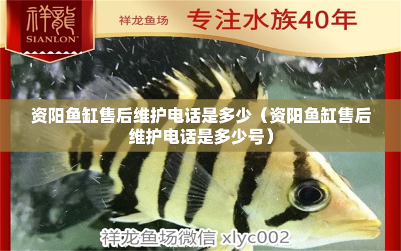 資陽(yáng)魚(yú)缸售后維護(hù)電話是多少（資陽(yáng)魚(yú)缸售后維護(hù)電話是多少號(hào)）