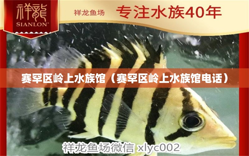 賽罕區(qū)嶺上水族館（賽罕區(qū)嶺上水族館電話）