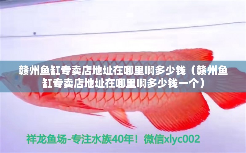 贛州魚缸專賣店地址在哪里啊多少錢（贛州魚缸專賣店地址在哪里啊多少錢一個）