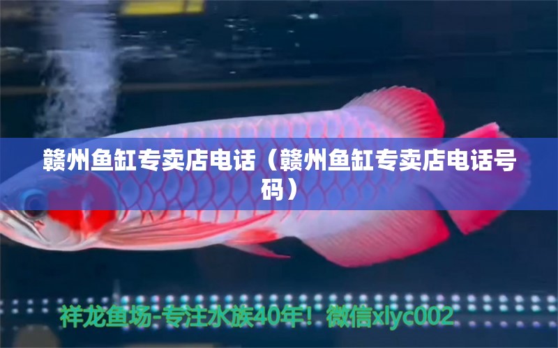 贛州魚缸專賣店電話（贛州魚缸專賣店電話號碼） 其他品牌魚缸