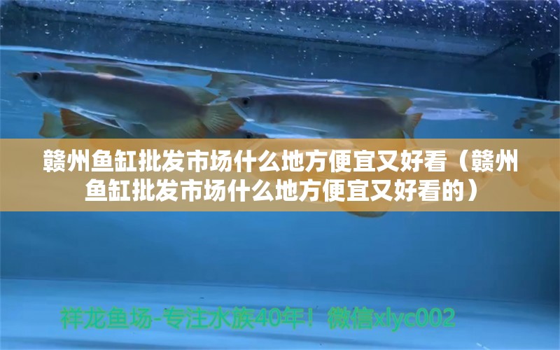 贛州魚缸批發(fā)市場(chǎng)什么地方便宜又好看（贛州魚缸批發(fā)市場(chǎng)什么地方便宜又好看的）