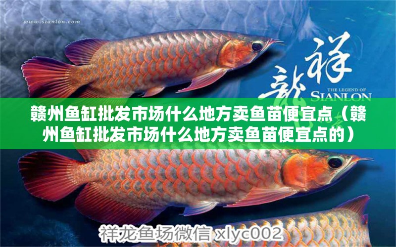 贛州魚缸批發(fā)市場(chǎng)什么地方賣魚苗便宜點(diǎn)（贛州魚缸批發(fā)市場(chǎng)什么地方賣魚苗便宜點(diǎn)的）