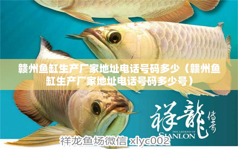 贛州魚缸生產(chǎn)廠家地址電話號(hào)碼多少（贛州魚缸生產(chǎn)廠家地址電話號(hào)碼多少號(hào)）