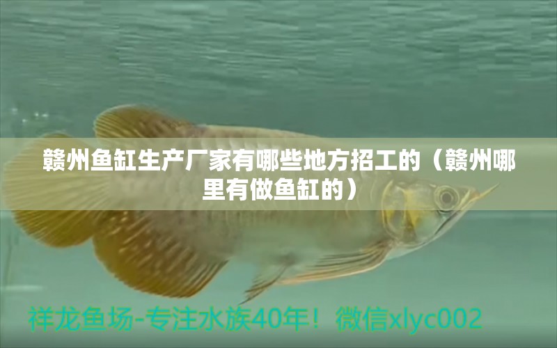 贛州魚缸生產(chǎn)廠家有哪些地方招工的（贛州哪里有做魚缸的） 觀賞魚批發(fā)