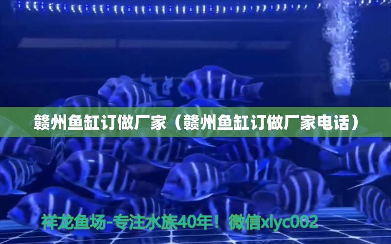 贛州魚缸訂做廠家（贛州魚缸訂做廠家電話）