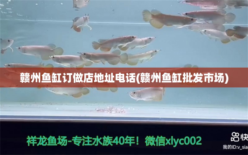 贛州魚缸訂做店地址電話(贛州魚缸批發(fā)市場) 鸚鵡魚