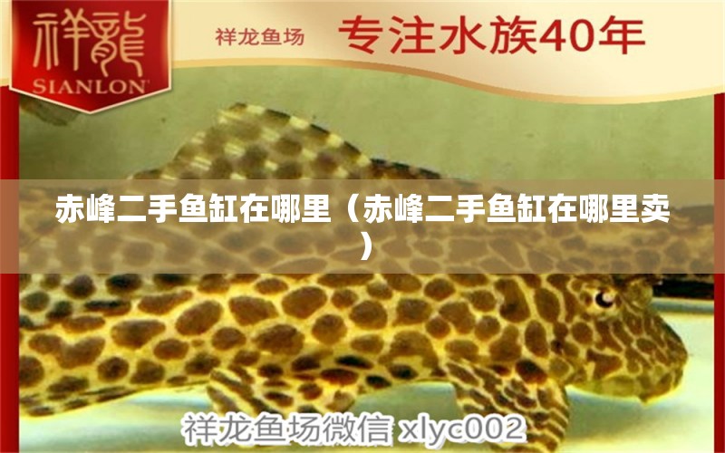 赤峰二手魚缸在哪里（赤峰二手魚缸在哪里賣） 祥龍水族醫(yī)院