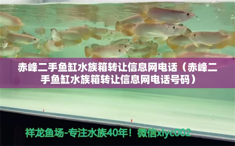 赤峰二手魚(yú)缸水族箱轉(zhuǎn)讓信息網(wǎng)電話（赤峰二手魚(yú)缸水族箱轉(zhuǎn)讓信息網(wǎng)電話號(hào)碼）