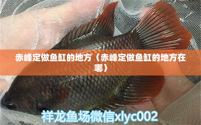 赤峰定做魚缸的地方（赤峰定做魚缸的地方在哪）