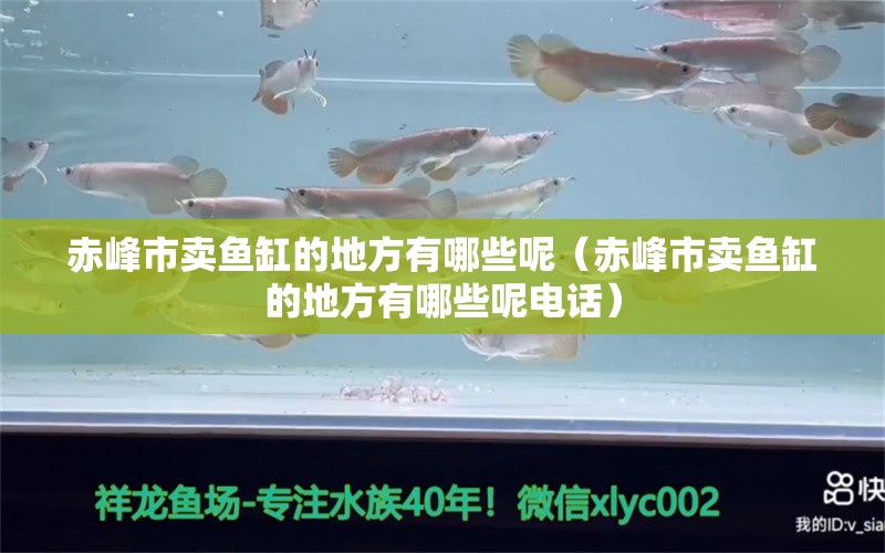 赤峰市賣魚缸的地方有哪些呢（赤峰市賣魚缸的地方有哪些呢電話）