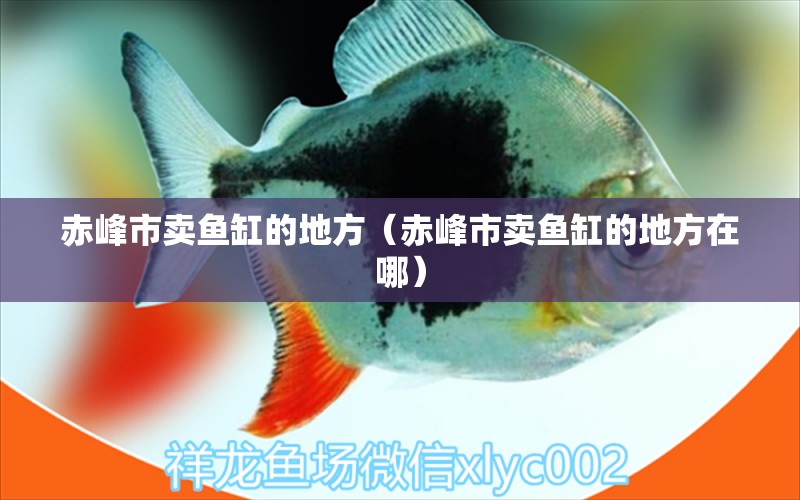 赤峰市賣魚缸的地方（赤峰市賣魚缸的地方在哪）