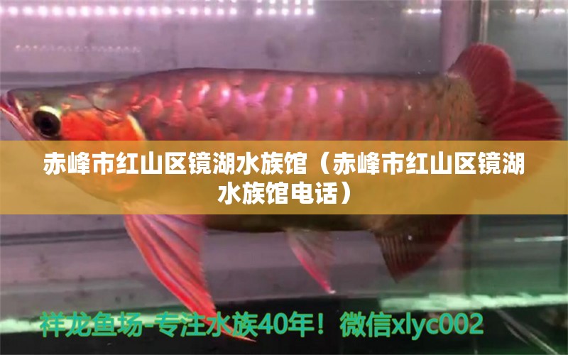 赤峰市紅山區(qū)鏡湖水族館（赤峰市紅山區(qū)鏡湖水族館電話）