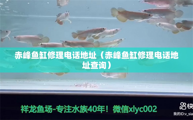 赤峰魚缸修理電話地址（赤峰魚缸修理電話地址查詢） 其他品牌魚缸